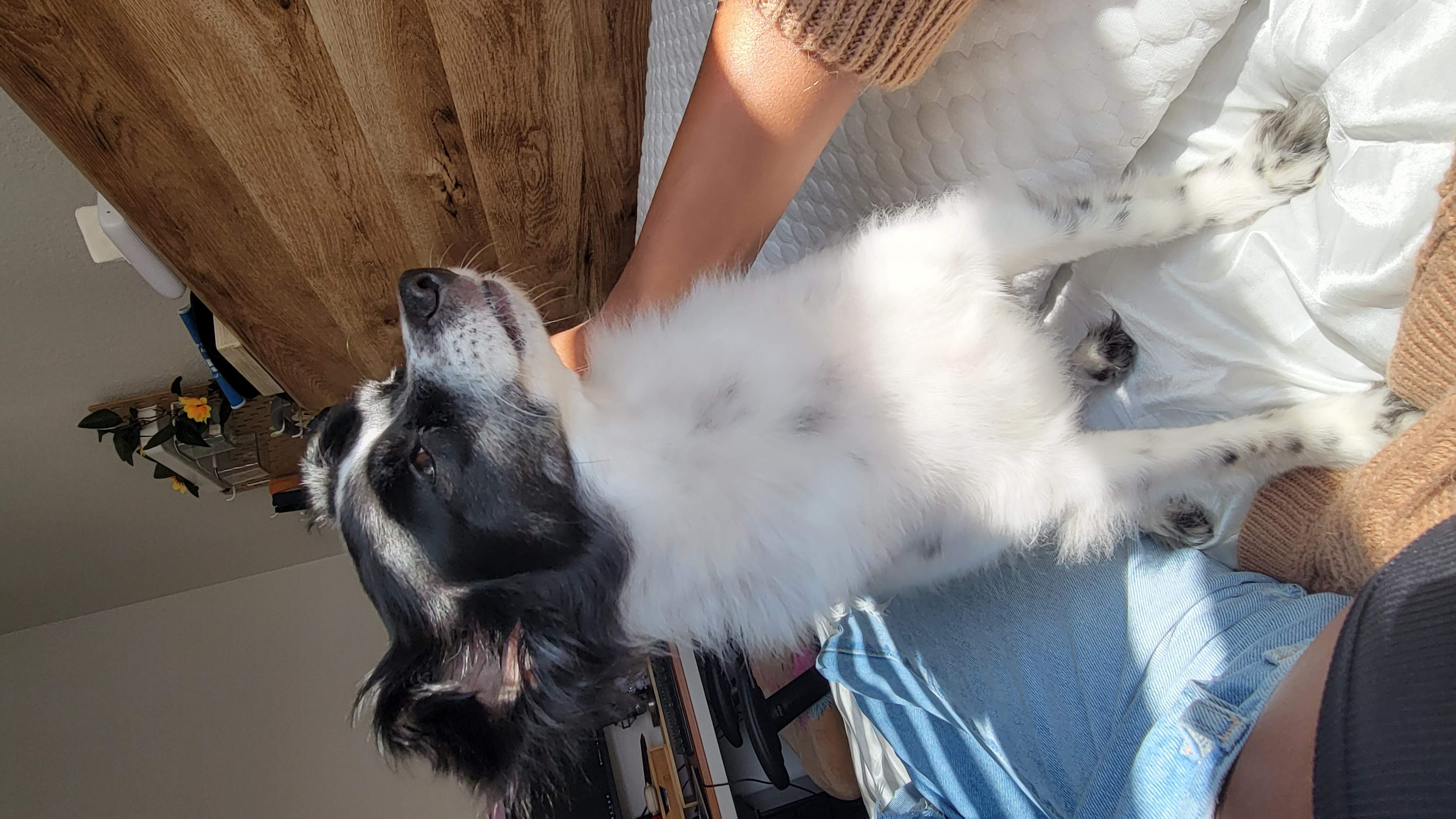 chillin with me in the morning
