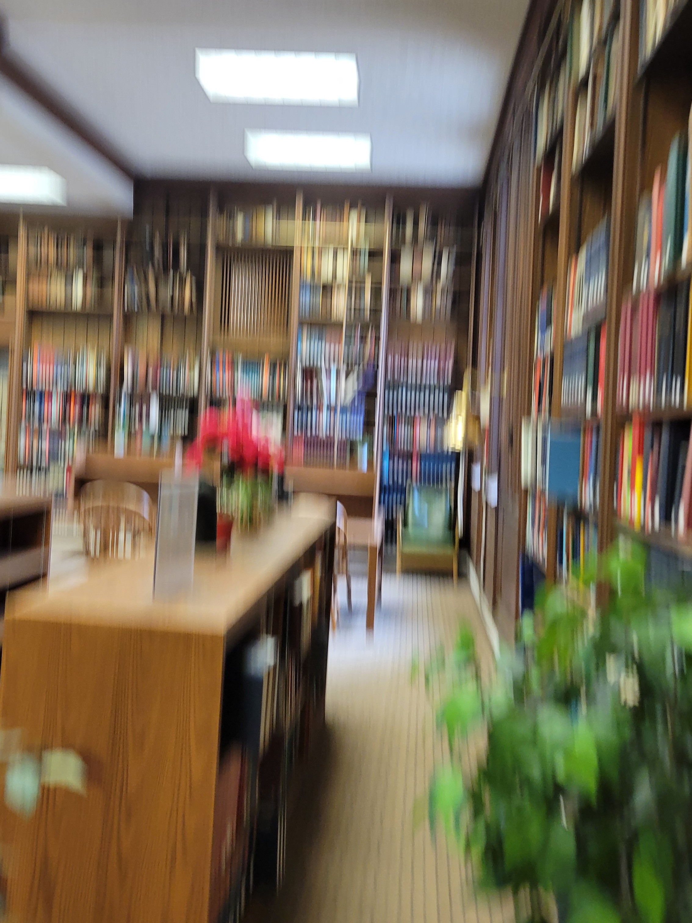 did a dainty little speed walk to take this pic 5 min before the library closed lol