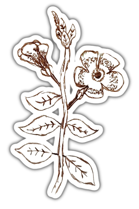 doodle-sticker